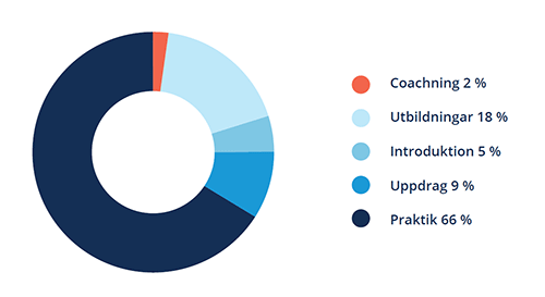 Diagrammet visar att traineeprogrammet innehåller 2 procent coaching, 18 procent utbildningar, 5 procent introduktion, 9 procent uppdrag och 66 procent praktik.